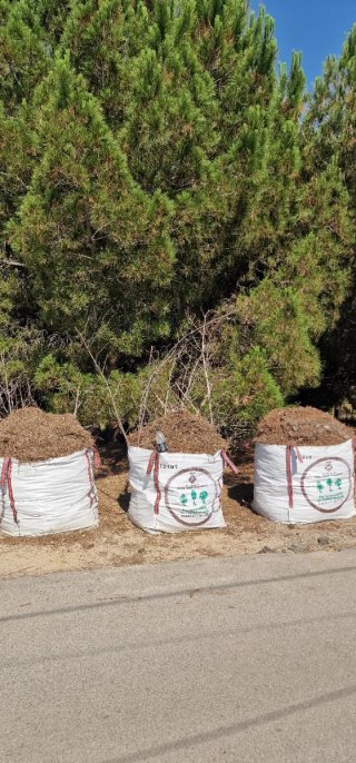 Leña de pino seca para chimenea