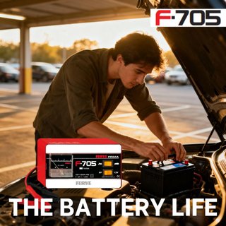 Cargador Baterías Ferve F-705 6V/12V