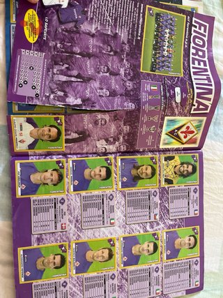 Album Panini Calciatori 2007-2008 Completo