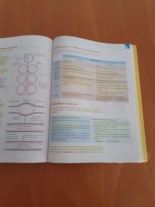 Biología, ciencias, Bachillerato 2 Teoría