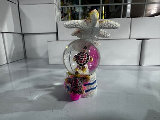 Imanes de tortugas marinas y señalización 5€ uni