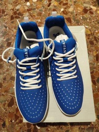 Zapatillas Nike Zoom Nyjah 3 SB
