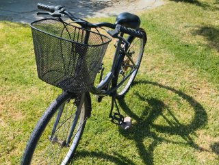Bicicleta Paseo Mujer City 30