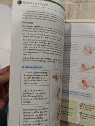 Ciencias de la naturaleza, 6 Primaria La Leyend...