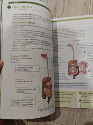 Ciencias de la naturaleza, 6 Primaria La Leyend...