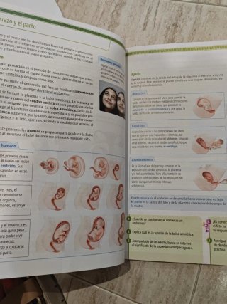 Ciencias de la naturaleza, 6 Primaria La Leyend...
