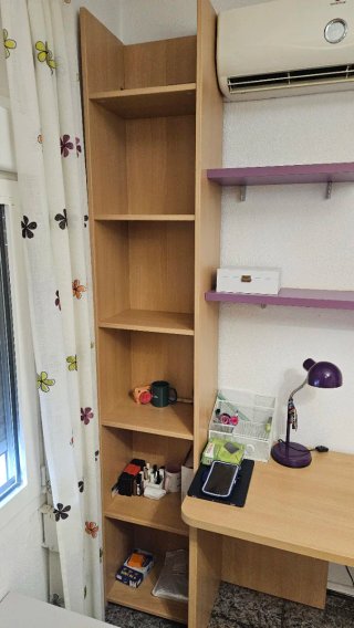 Escritorio con librería y estantes