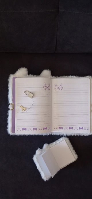 Diario peluche doble con candado y llaves