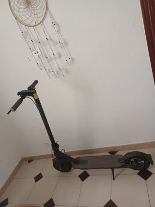 Patinete Eléctrico Xiaomi + Cargador