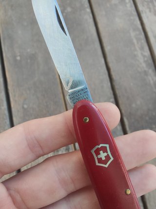 VICTORINOX (VICTORIA).