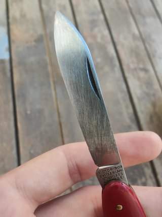 VICTORINOX (VICTORIA).