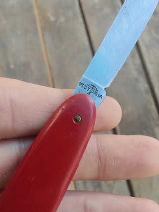 VICTORINOX (VICTORIA).