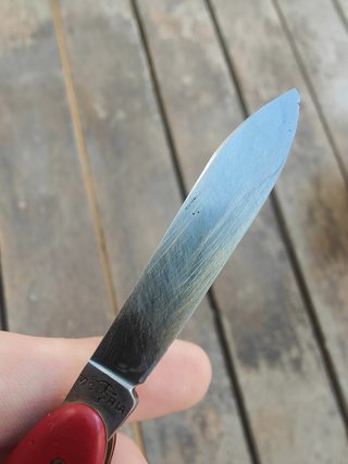 VICTORINOX (VICTORIA).