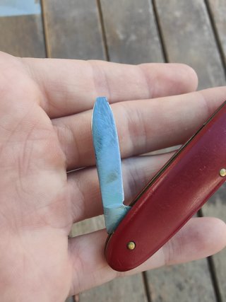 VICTORINOX (VICTORIA).