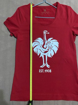 Camiseta Engelbert Strauss Estampado Ave Talla M