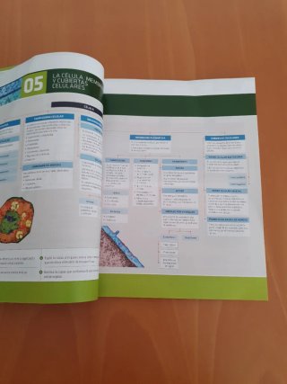 Biología, ciencias, Bachillerato 2 Práctica