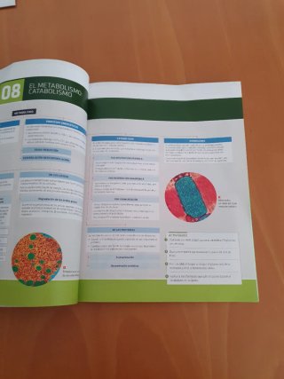 Biología, ciencias, Bachillerato 2 Práctica