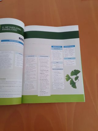 Biología, ciencias, Bachillerato 2 Práctica