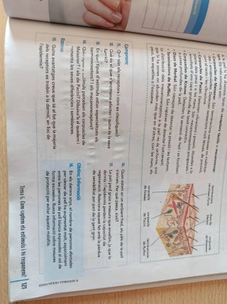 BIOLOGIA I GEOLOGIA 3 CT (COMUNITAT EN XARXA)