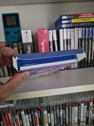 Neva PS5 Deluxe Edition