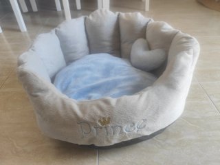 Bolso para mascotas gris y cama