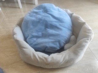 Bolso para mascotas gris y cama