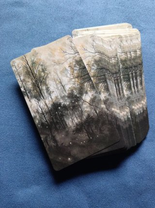 Tarot Shadow Fates