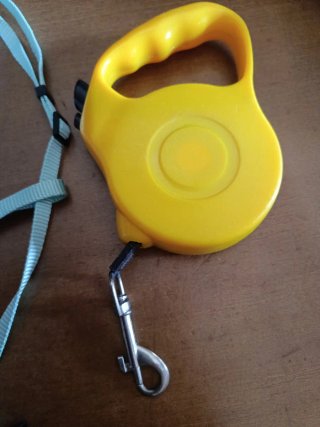 Kit Accesorios Mascotas.