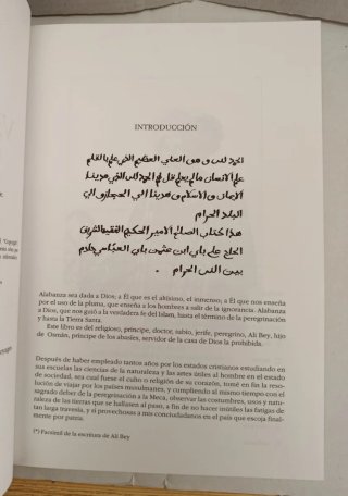 Viajes de Ali Bey (2001)