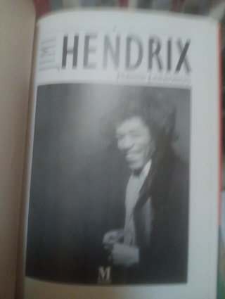 JIMI HENERIX(Fermin Larrondo)