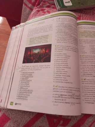 Lengua castellana, 1 ESO, Programa Carmen de Bu...