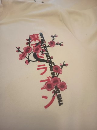 Camiseta descatalogada japonesa Talla S