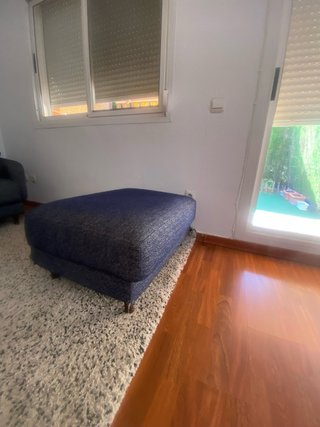 Sofá 2 plazas gris + puf + alfombra
