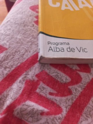 Llengua catalana 1 ESO