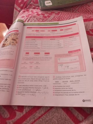 Llengua catalana 1 ESO