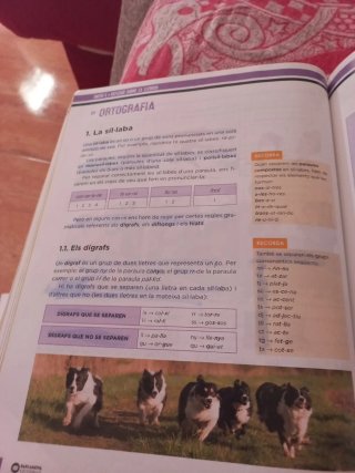 Llengua catalana 1 ESO