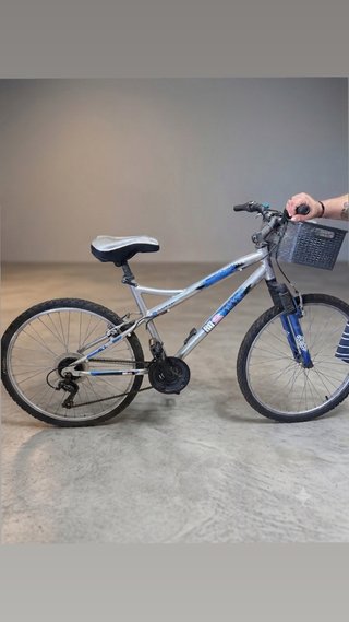 Bicicleta de montaña plateada