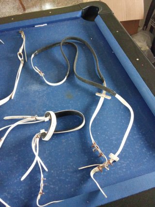 Conjunto Biothane para caballo