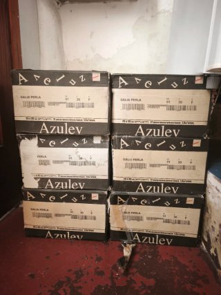 Lote Azulejos y Cenefa Azulev