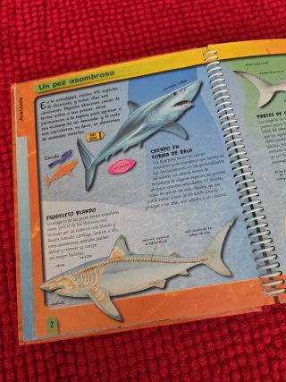 Tiburones