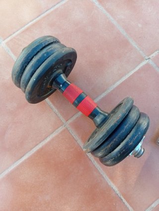 Mancuernas ajustables con discos