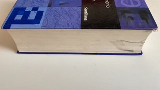 Nuevo diccionario esencial de la lengua española