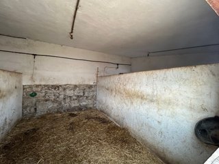 ALQUILER BOXES CABALLOS