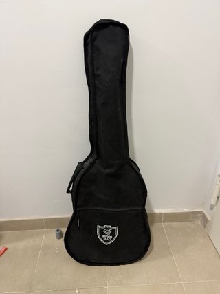 Guitarra Española Rocio R10