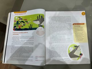 Lengua castellana, 5 Primaria