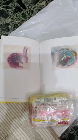 Libro de arte en Holandés Nederlands