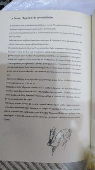 Libro de arte en Holandés Nederlands
