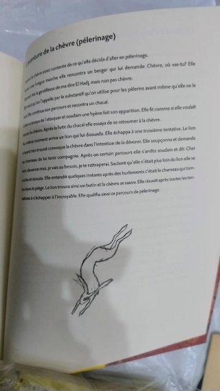 Libro de arte en Holandés Nederlands