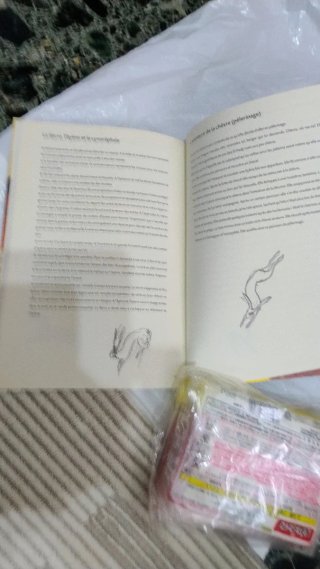 Libro de arte en Holandés Nederlands