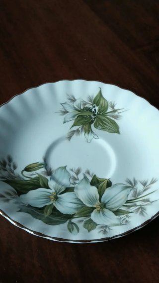 Tazza e piattino Royal Albert Trillium